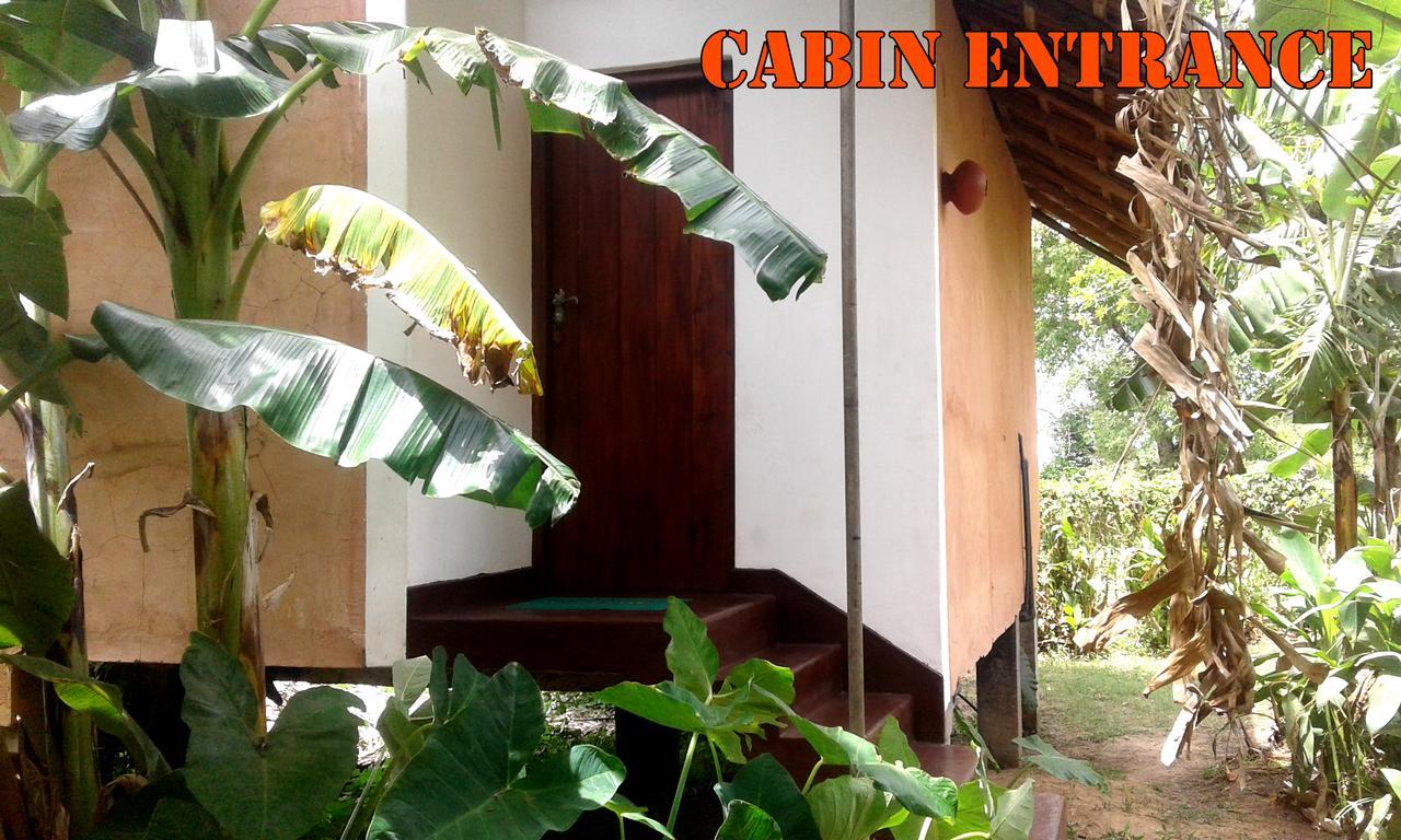 Lake Cabin Guest house Polonnaruwa